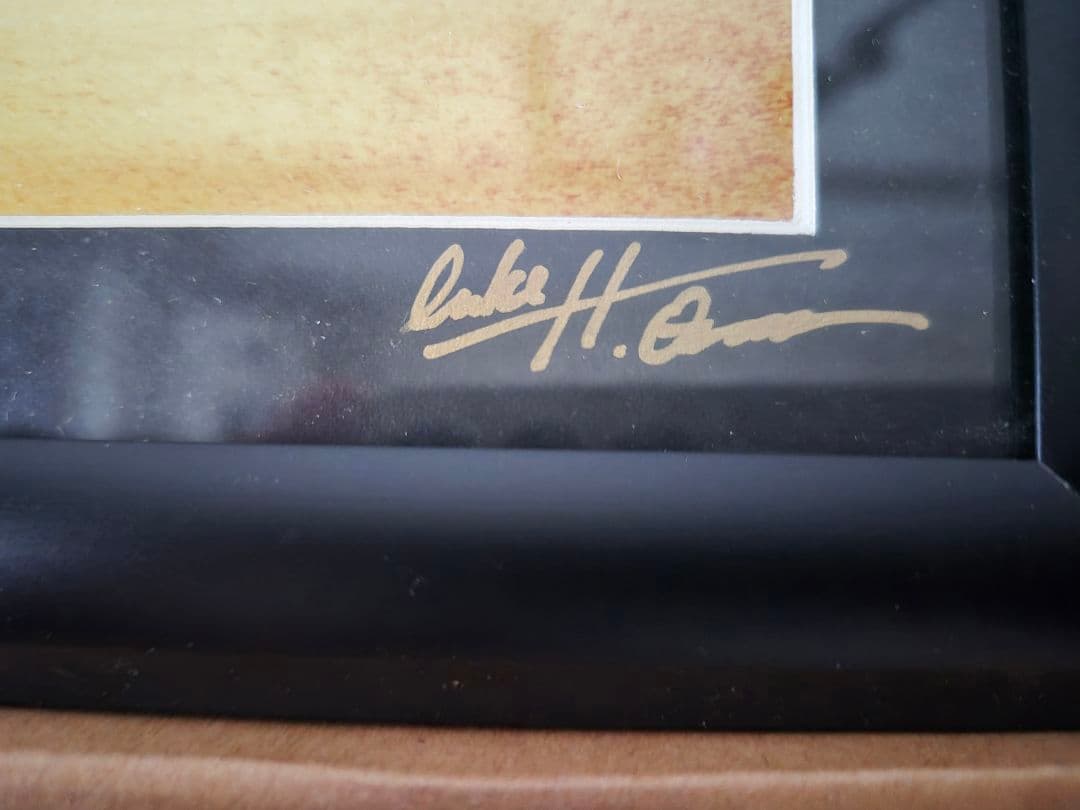 ルーク・オザワ 写真 作品