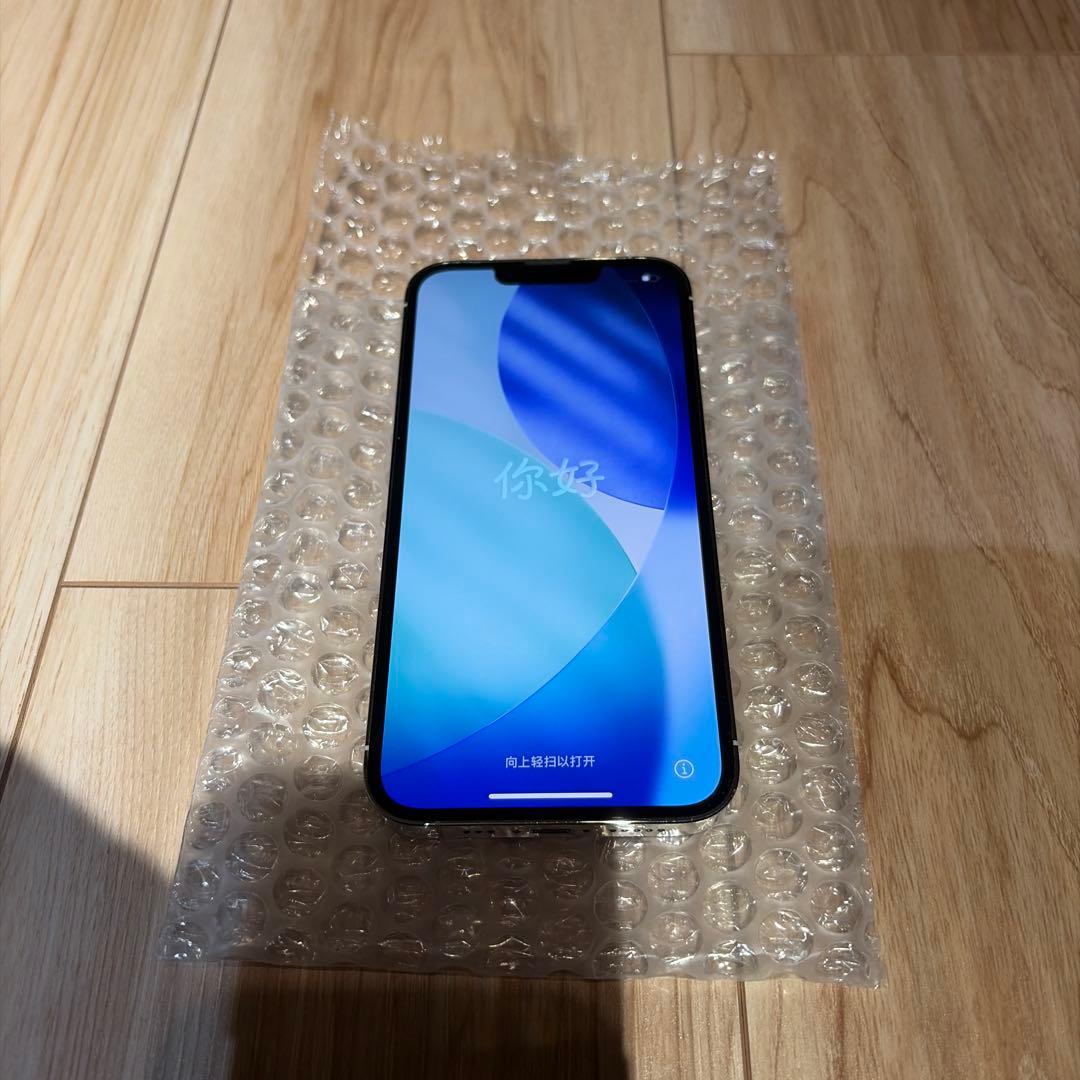 iPhone13 Pro 本体 1TB 美品
