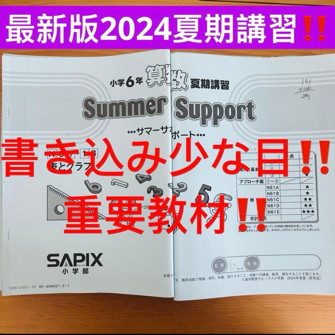 ㉔C サピックス　SAPIX 6年生 サマーサポート　夏期講習　算数テキスト