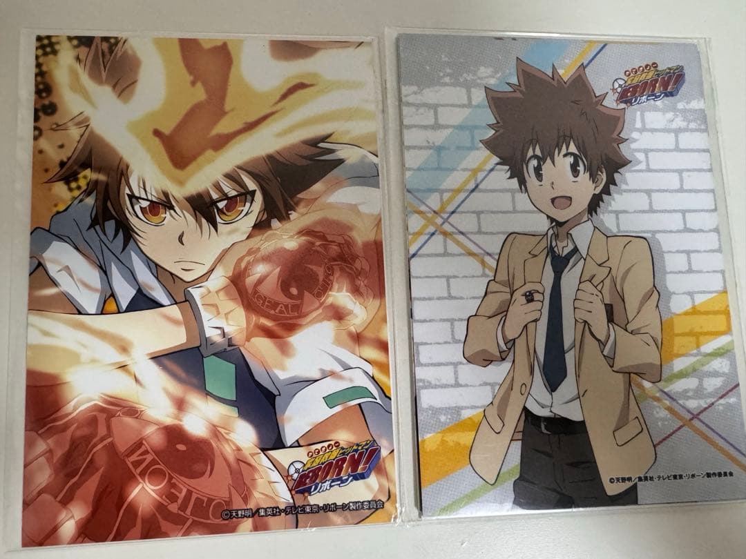 家庭教師ヒットマンREBORN! 沢田綱吉　　ジャンプ限定　ブロマイド