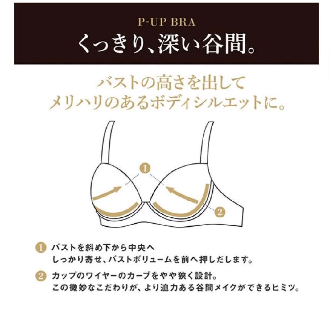 【サルート】♡希少H65 プッシュアップブラ　ショーツセット93Gニューヨーク