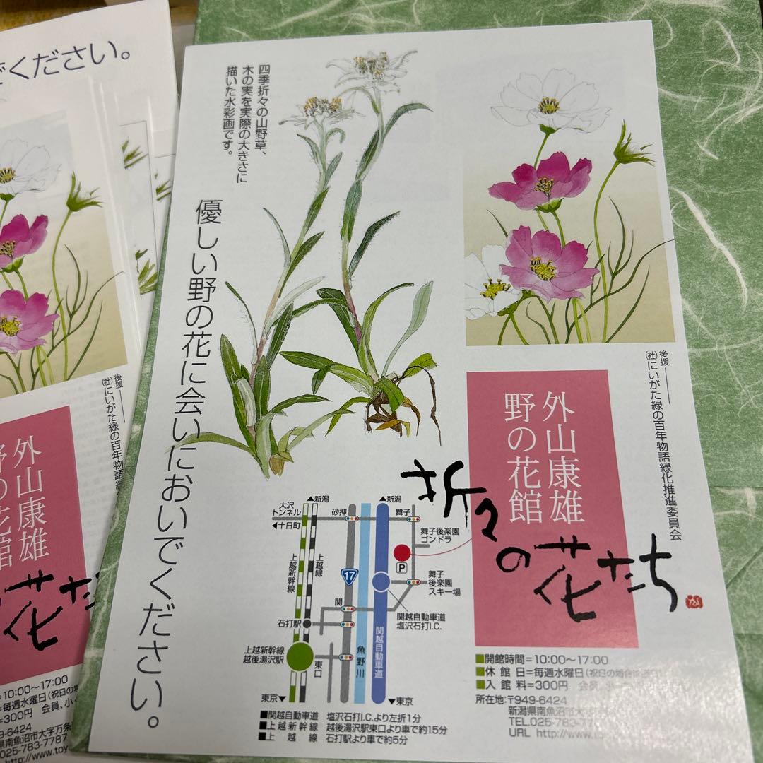 値下げ　　水彩画 木製フレーム付き　 外山康雄　原画　越の小貝母 名刺