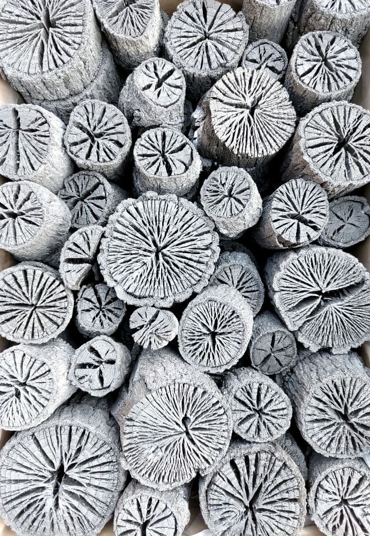 m3ホンポ【 愛媛産 】切れ端５.５㎏ クヌギ炭×2箱