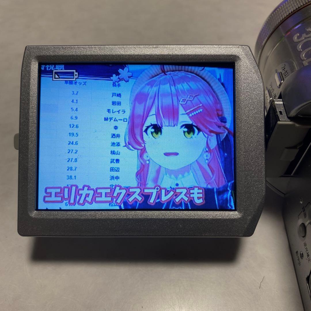 Panasonic miniDVビデオカメラ NV-GS400 ⑤