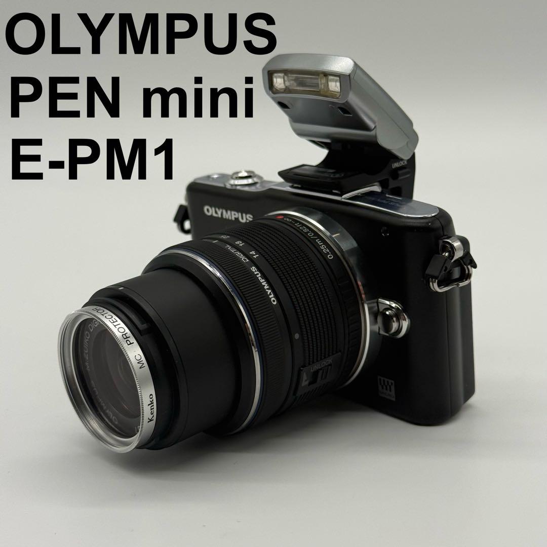 OLYMPUS PEN mini E-PM1 動作確認済 ミラーレス一眼