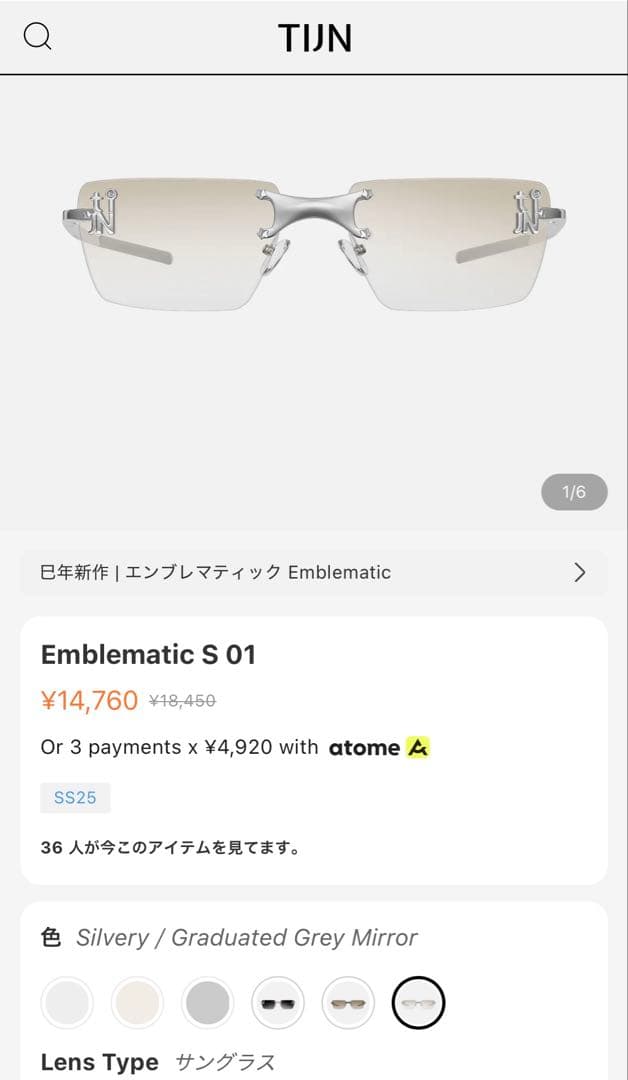 TIJN Emblematic S 01 シルバー グラデーショングレー