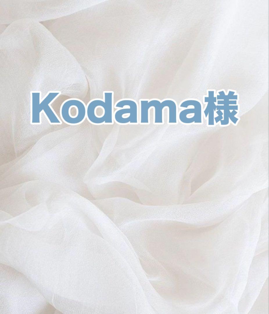 ウィッグ・エクステ Kodama
