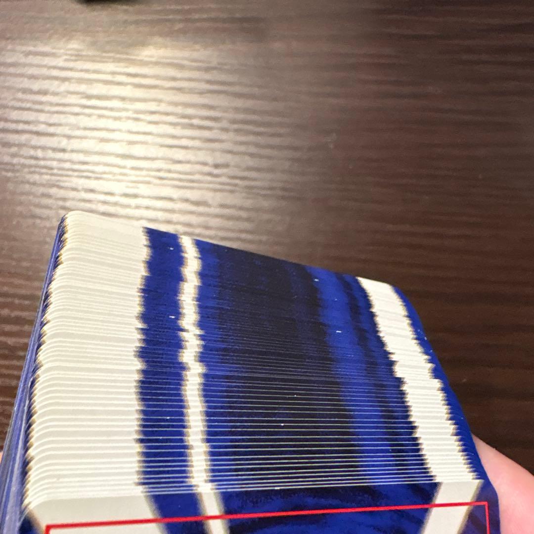 ポケモンカード ニビシティジム タケシ