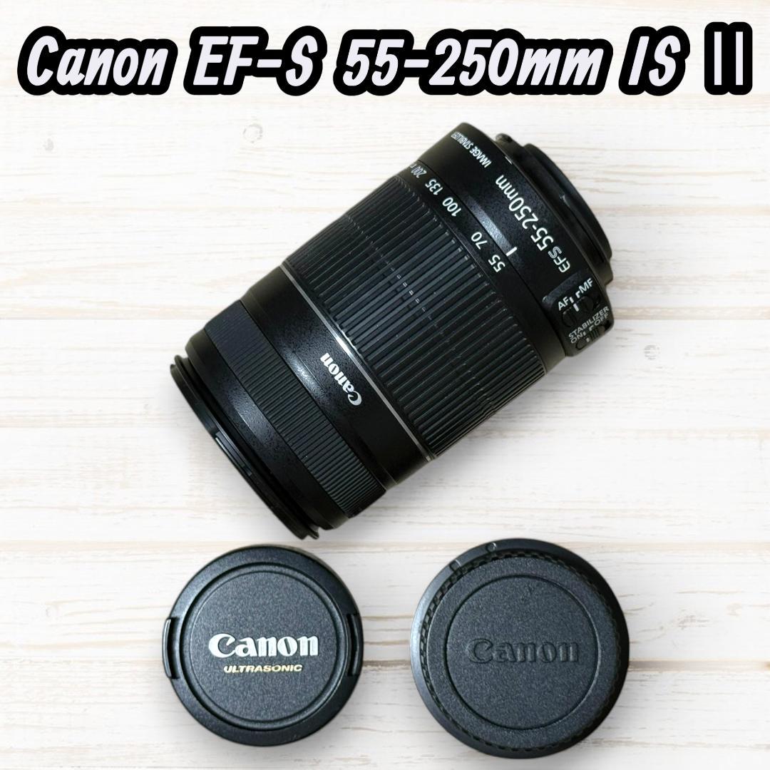 Canon ズームレンズ EF-S 55-250mm IS Ⅱ #122