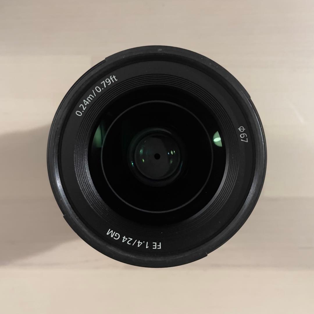 white tiger　Sony FE 24mm F1.4 GM レンズ