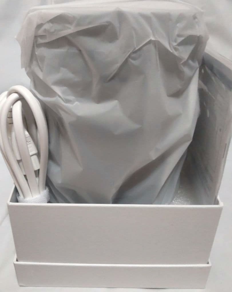 【新品未使用】SALONIA ピュアブライトスチーマー　SAL22207SL