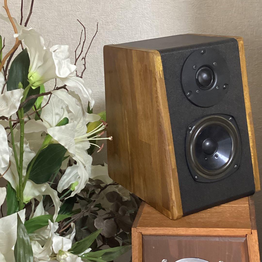 10㎝2way 前後傾斜バッフルは気分だけウソナスファベール