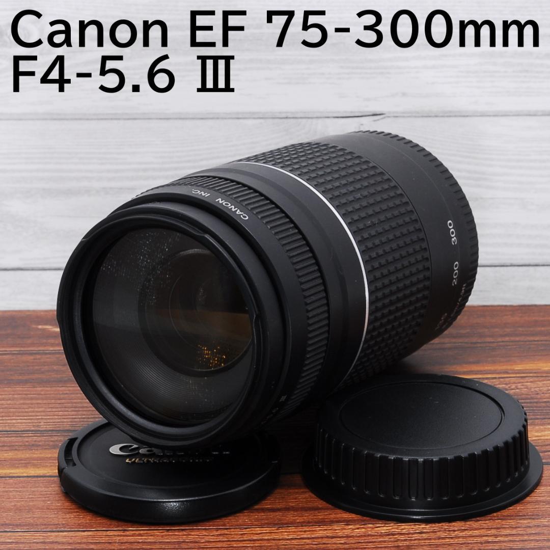 望遠レンズ Canon EF 75-300mm F4-5.6 Ⅲ
