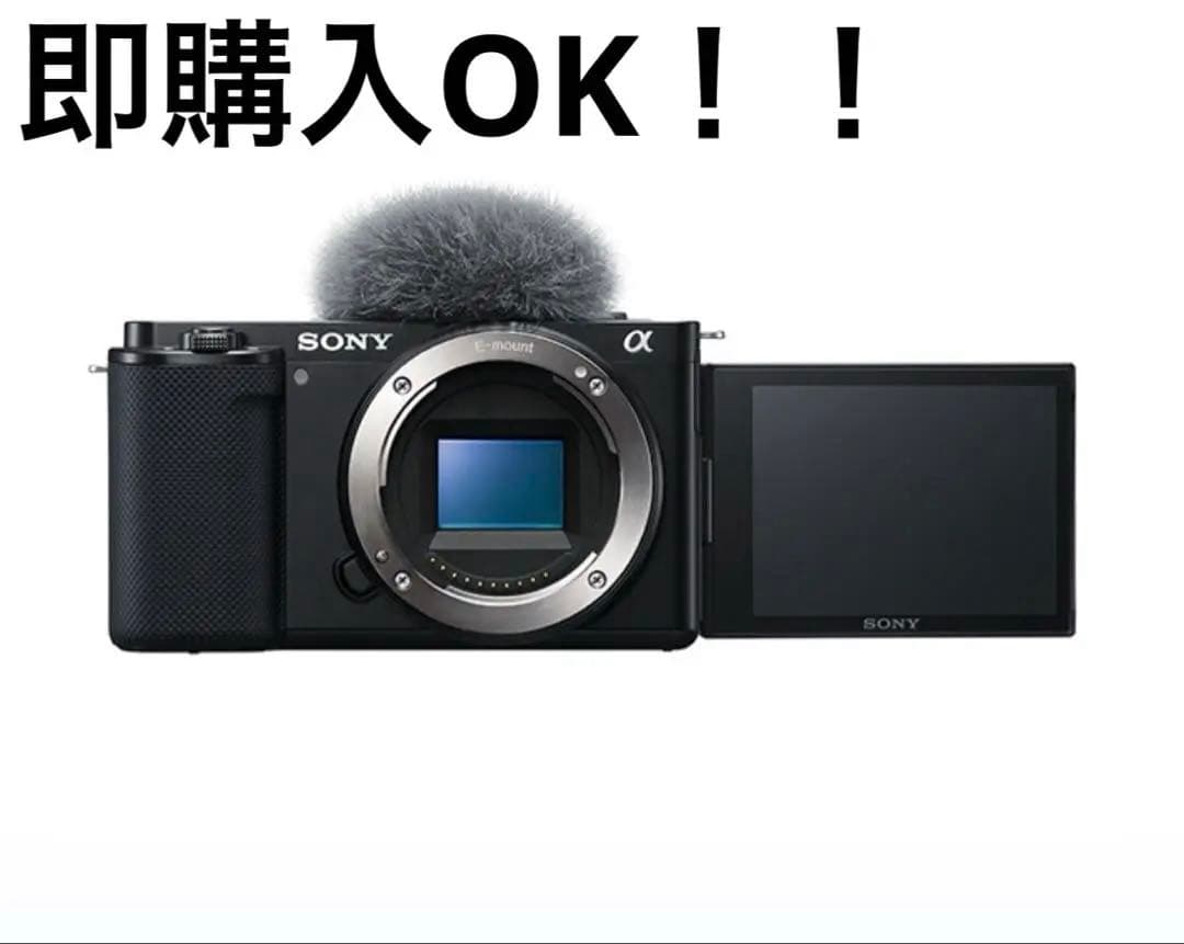 SONY ミラーレス一眼カメラ 本体と付属品