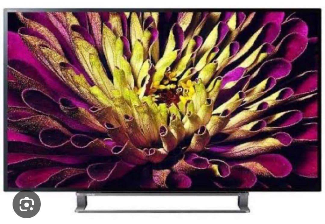 東芝REGZA 液晶テレビ49G20X