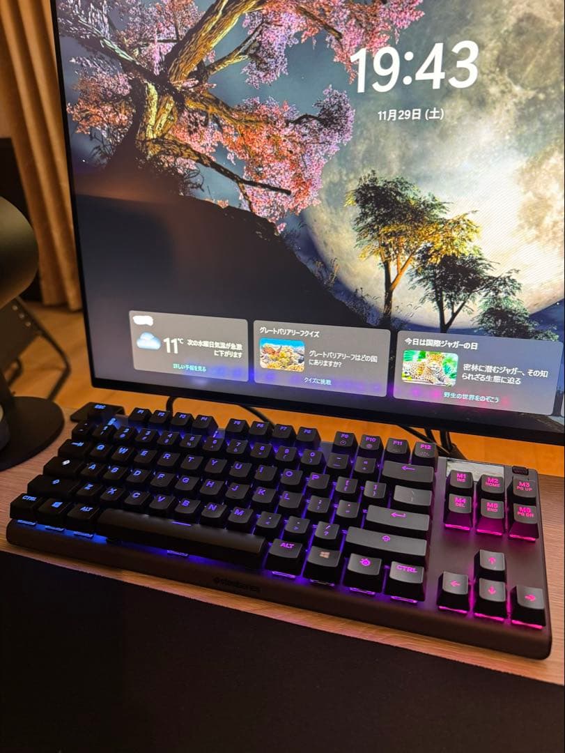 Apex Pro TKL US [ブラック]