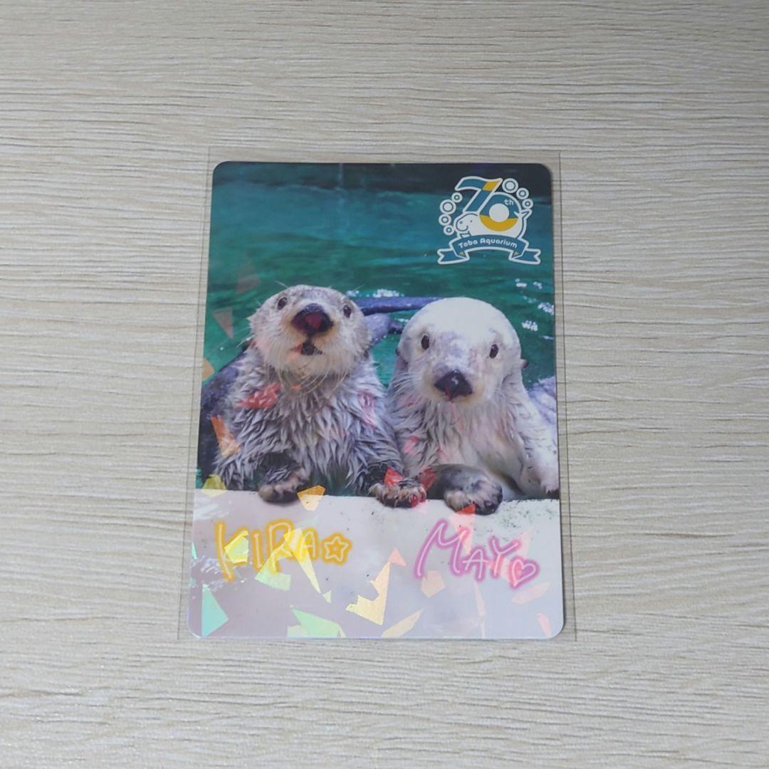 鳥羽水族館 コレクションカード 70周年 メイキラ レア