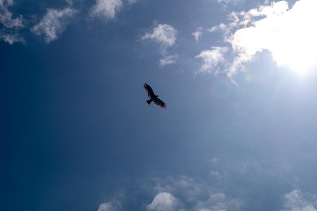 【黒死病対策】ペンタックス PENTAX K-S2 カメラらしいブラック