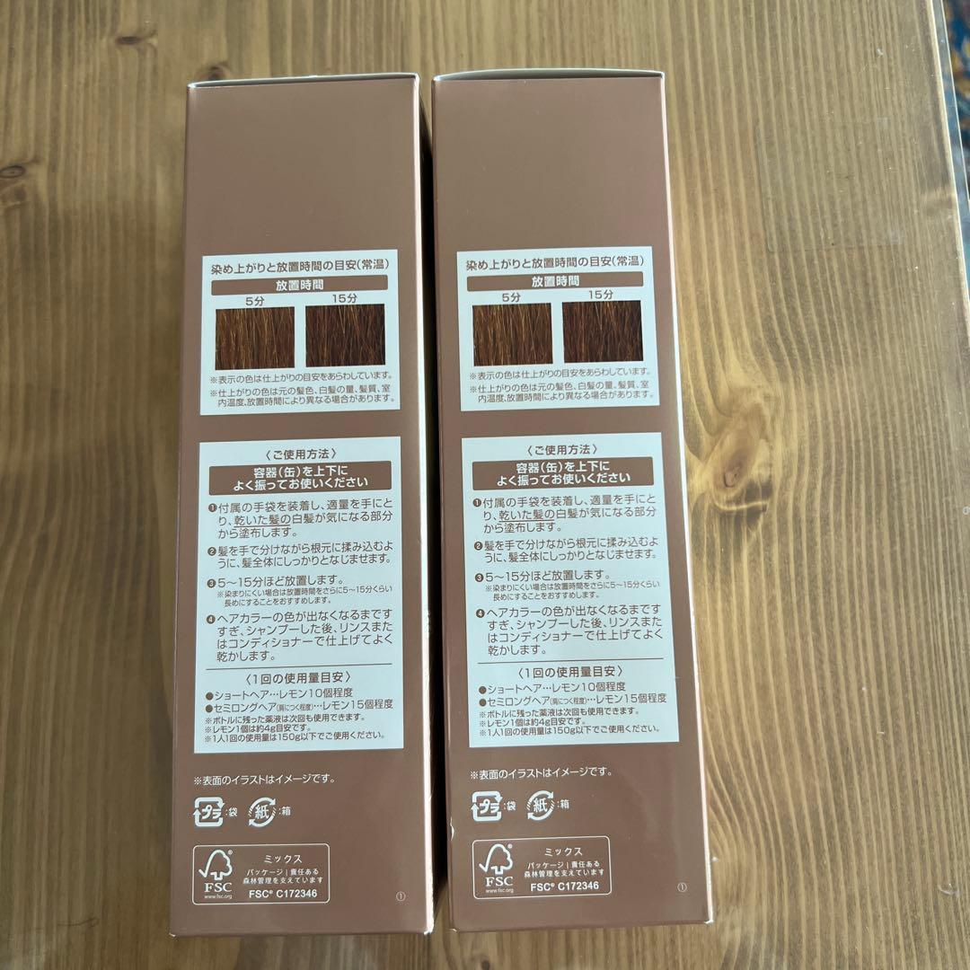 ヘアボーテエクラボタニカルエアカラーフォーム EXライトブラウン 150g 2本