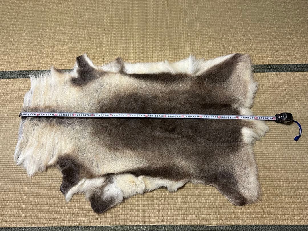 み*ん様 DALUM REINDEER トナカイ Lサイズ 毛皮