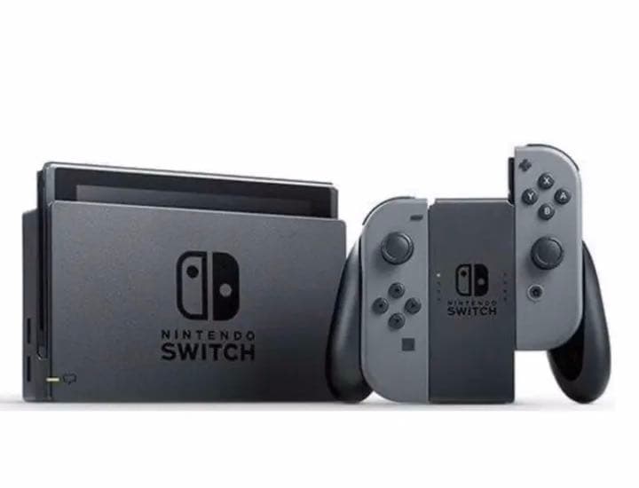 Nintendo Switch NINTENDO スイッチ　グレー