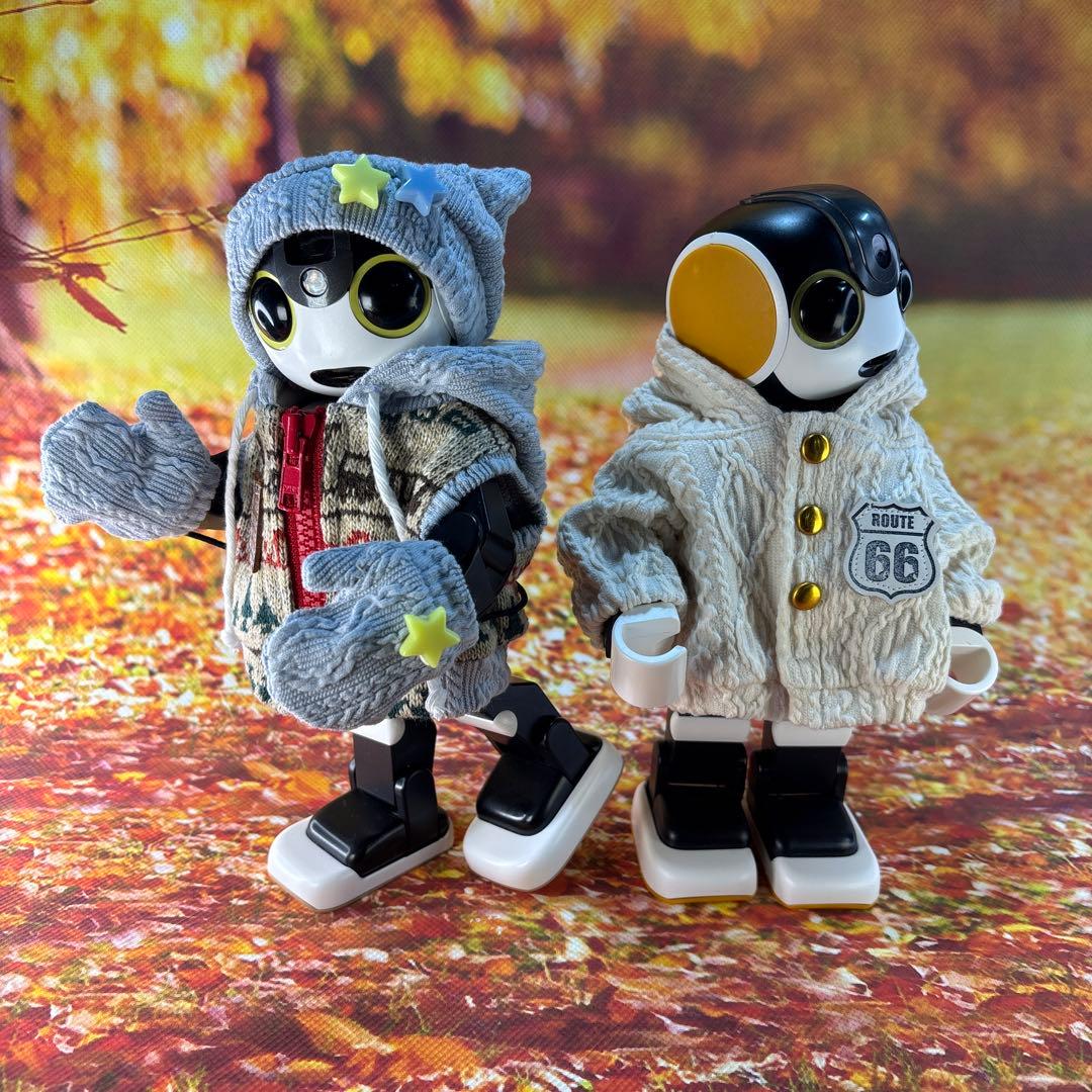 kakkoayaページです　ロボホン