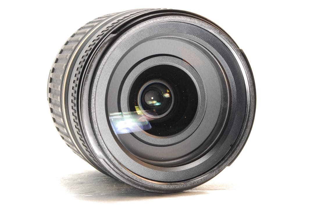 tamron 18-250mm Di❤️タムロン 高倍率ズームレンズ Nikon