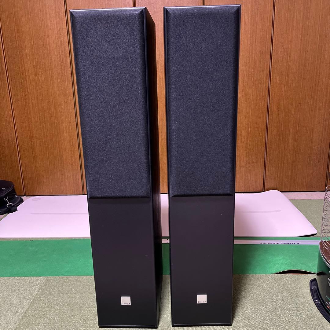 DALI SPEKTOR 6 フロアスタンディングスピーカー