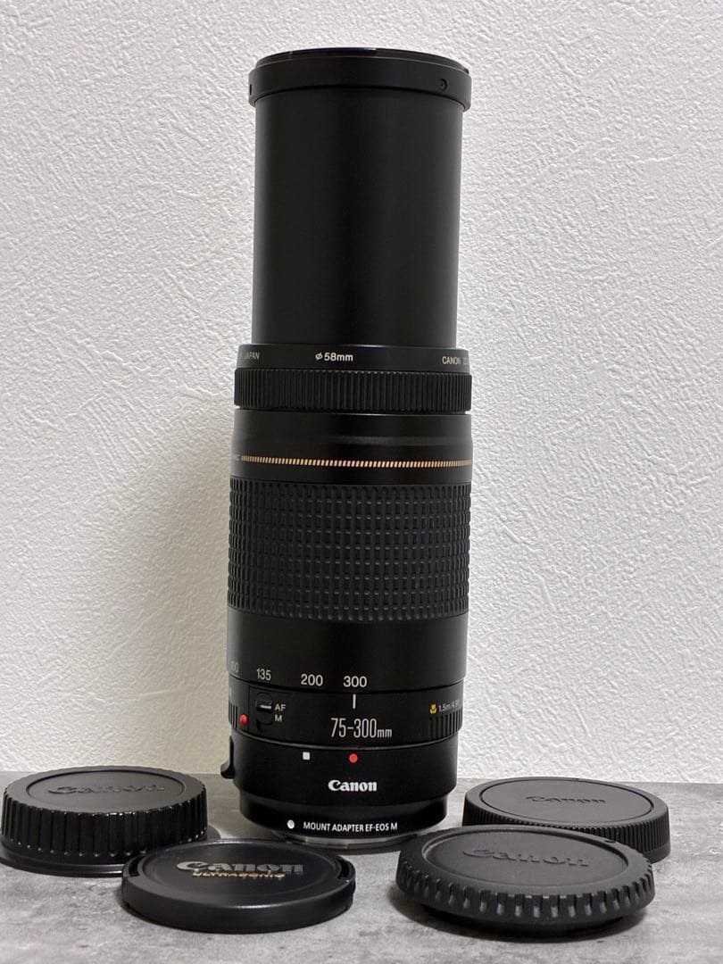 ⭐️美品⭐️Canon EF 75-300 II & EF-EOS M アダプター