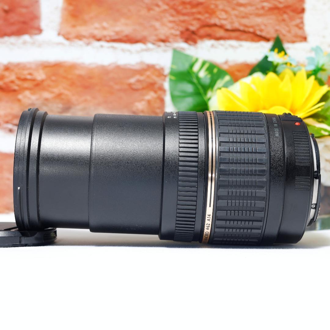広角から超望遠まで✨TAMRON AF18-200mm MACRO A14✨EF