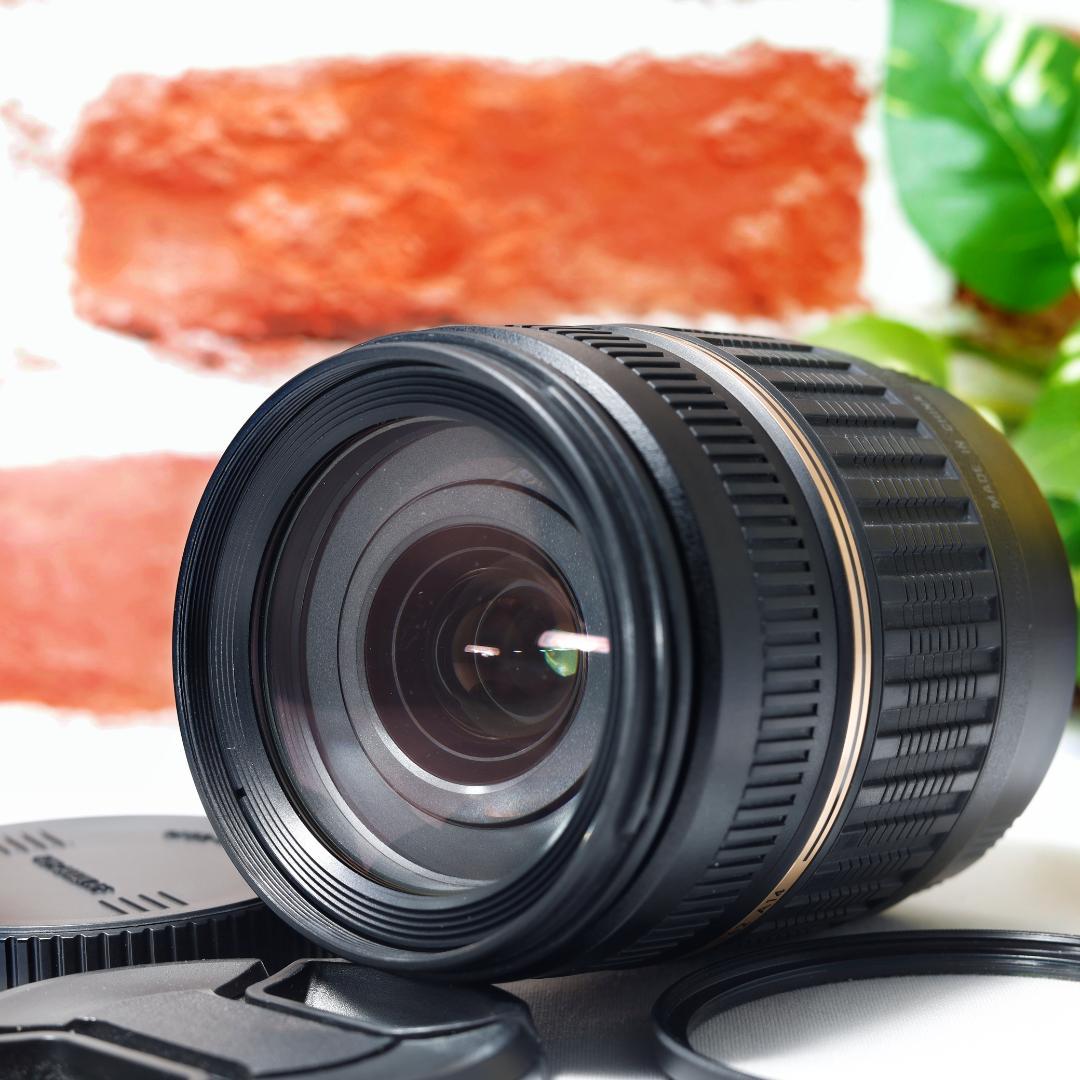 広角から超望遠まで✨TAMRON AF18-200mm MACRO A14✨EF