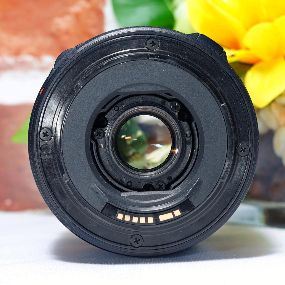 広角から超望遠まで✨TAMRON AF18-200mm MACRO A14✨EF