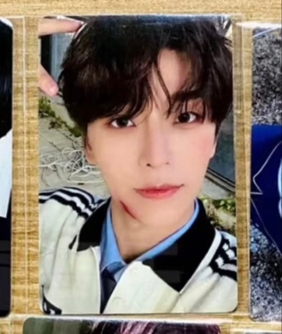 ALD1 シンロン EUPHORIA pluschat 限定 トレカ B