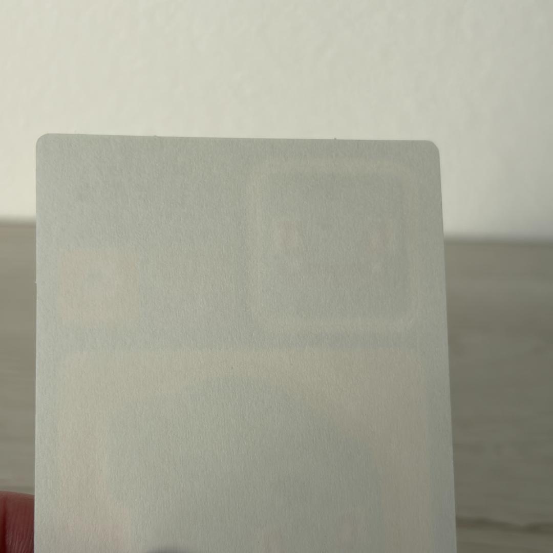 フシギダネ ポケモンクエスト 激レア シール ステッカー No.001