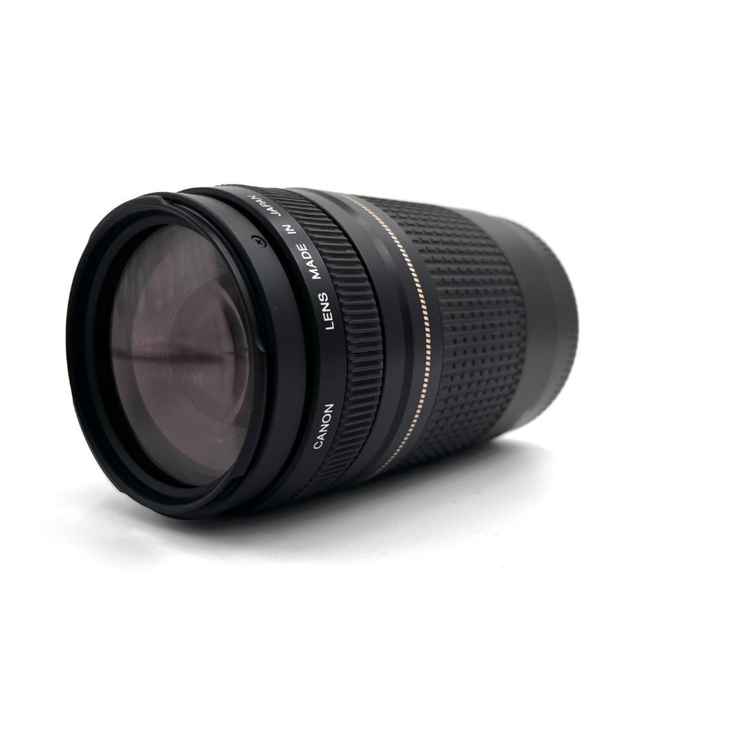 望遠レンズ Canon EF 75-300mm F4-5.6 USM #355