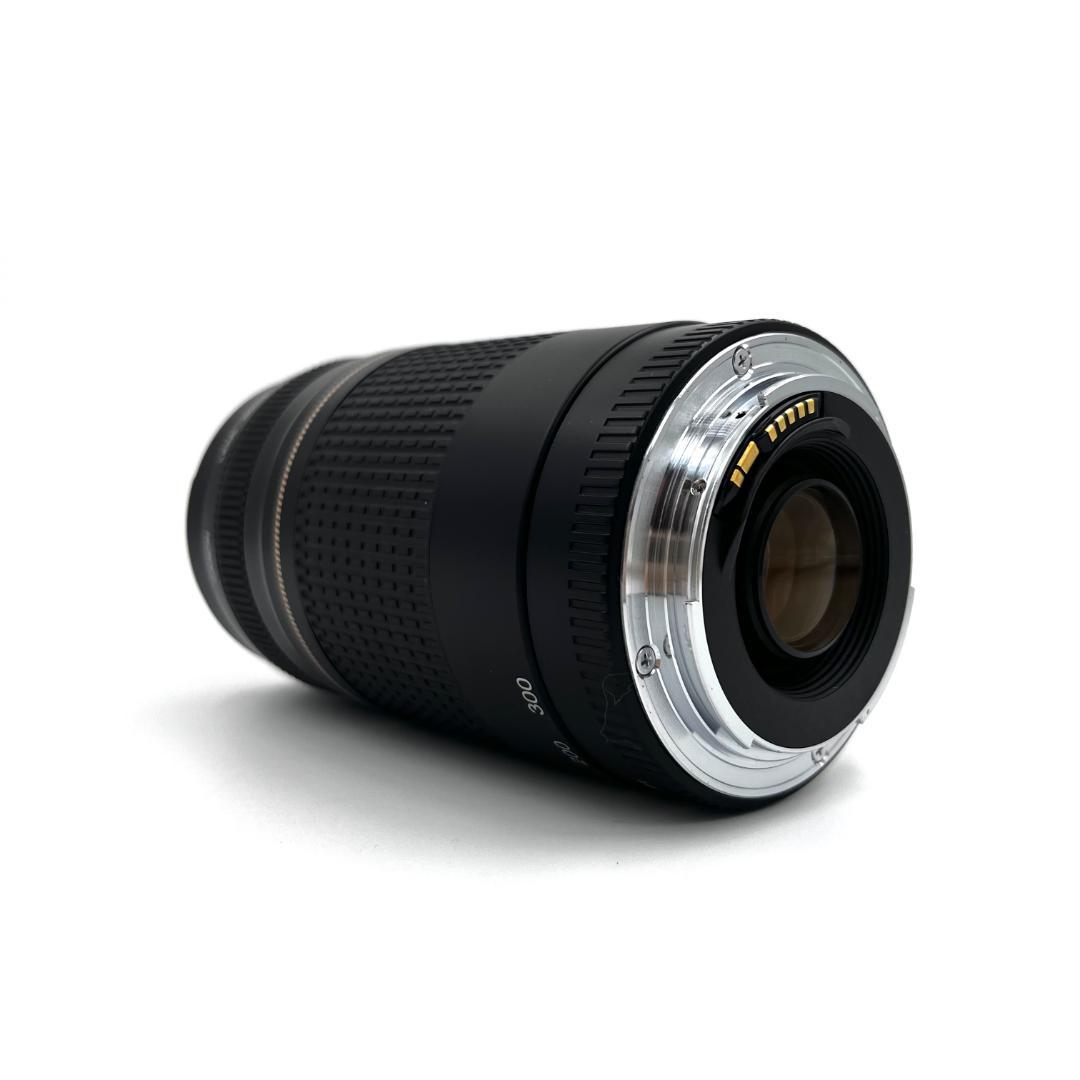 望遠レンズ Canon EF 75-300mm F4-5.6 USM #355