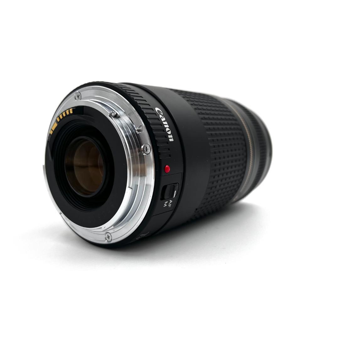 望遠レンズ Canon EF 75-300mm F4-5.6 USM #355