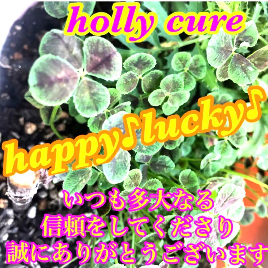 秘符(さくら)三戸九蟲　霊物　監視　密告　大好転　開運　護符　霊符　お守り