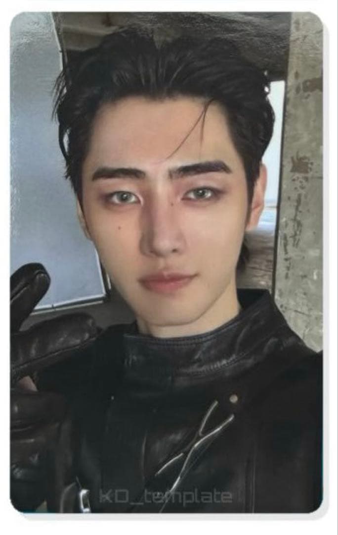 ENHYPEN THE SIN:VANISH target ソンフン