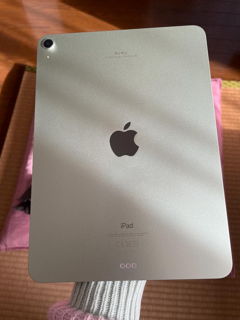 【極美品】Apple iPad Air4 256GB + Pen【4点セット】