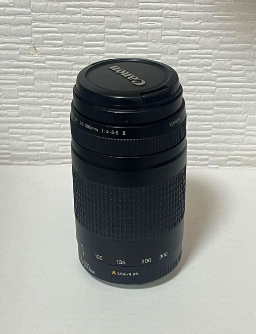 Canon 望遠レンズ 75-300mm