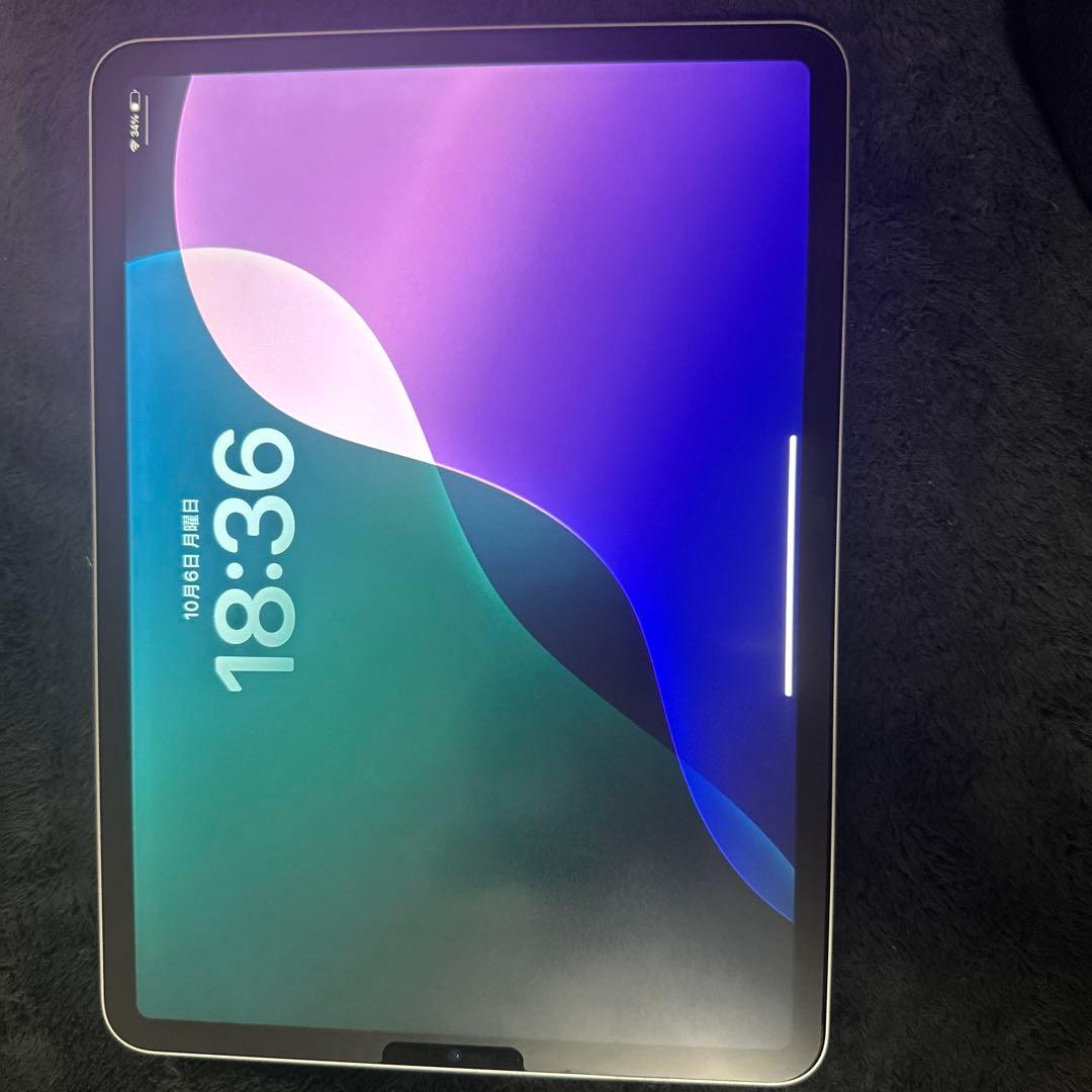 Apple iPad Pro 11インチ シルバー 本体