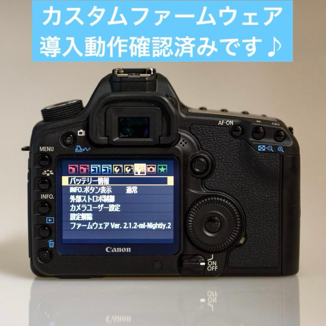 激レア！ショット数僅か734 極上動作品！ Canon 5DMARKⅡ付属品多数