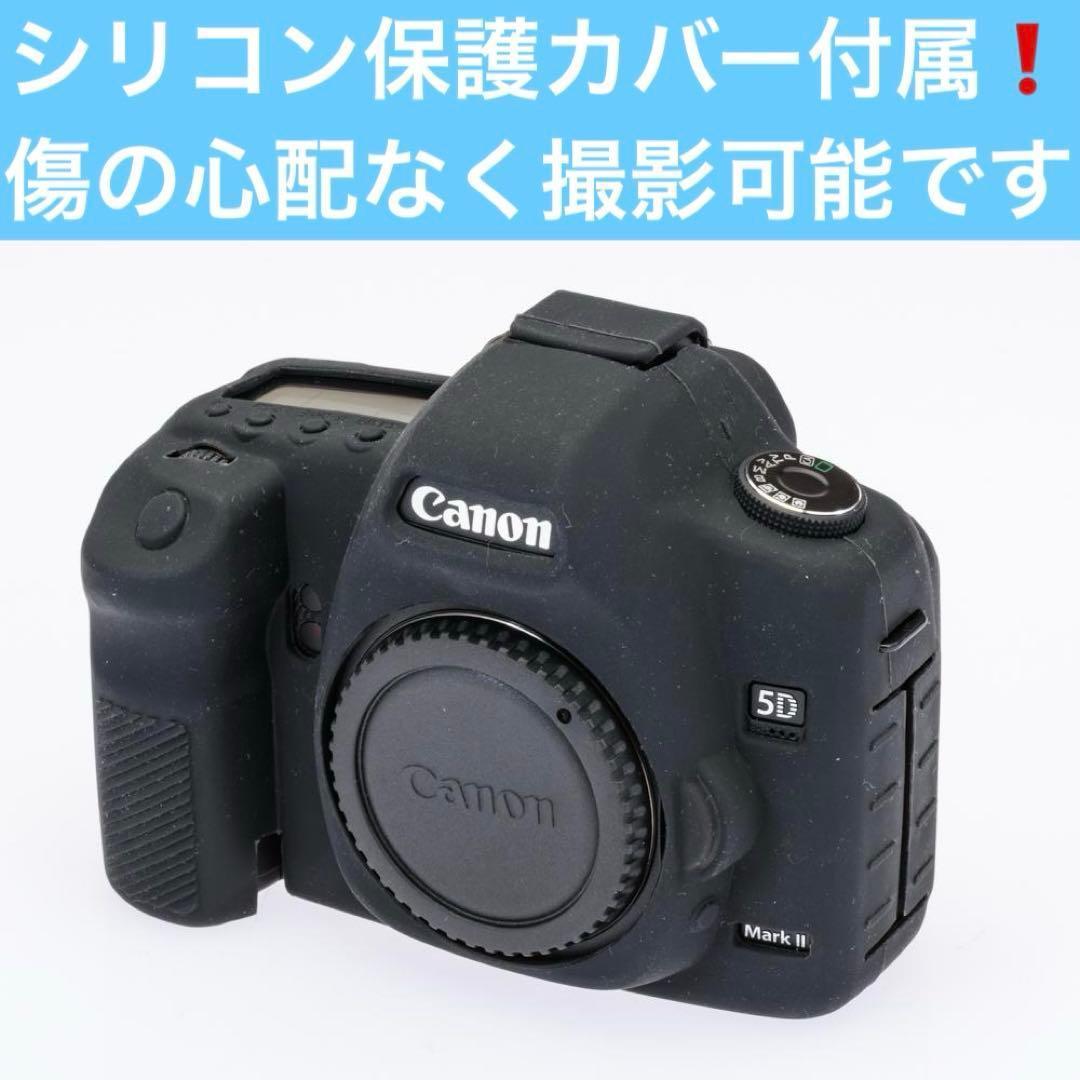 激レア！ショット数僅か734 極上動作品！ Canon 5DMARKⅡ付属品多数