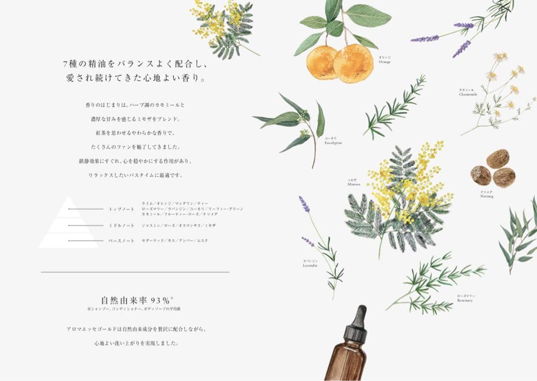 アロマエッセゴールドPOLA ポーラシャンプー&コンディショナー各10Lセット