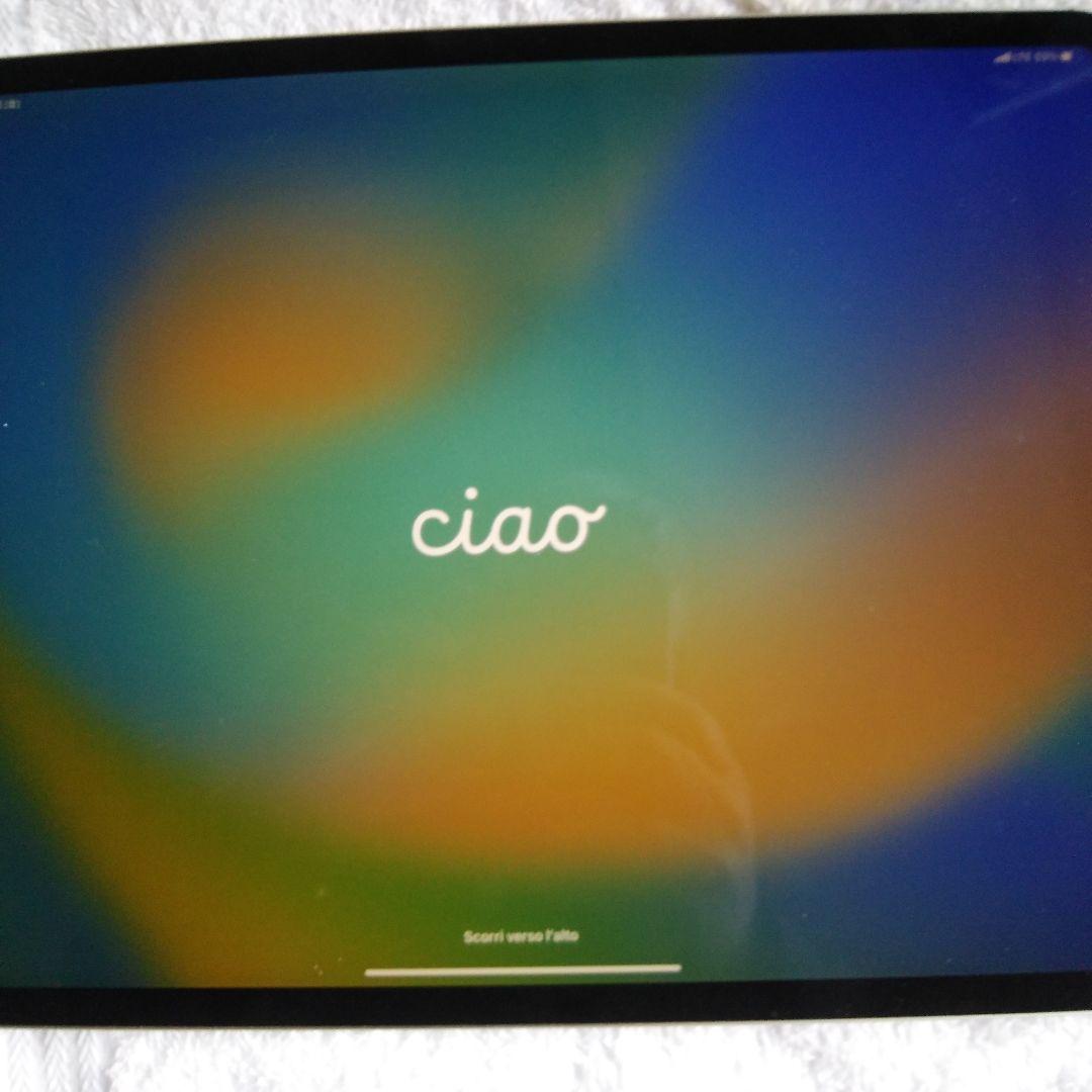 IPAD PRO 12.9インチ 第3世代 256GB MTJ62J/A