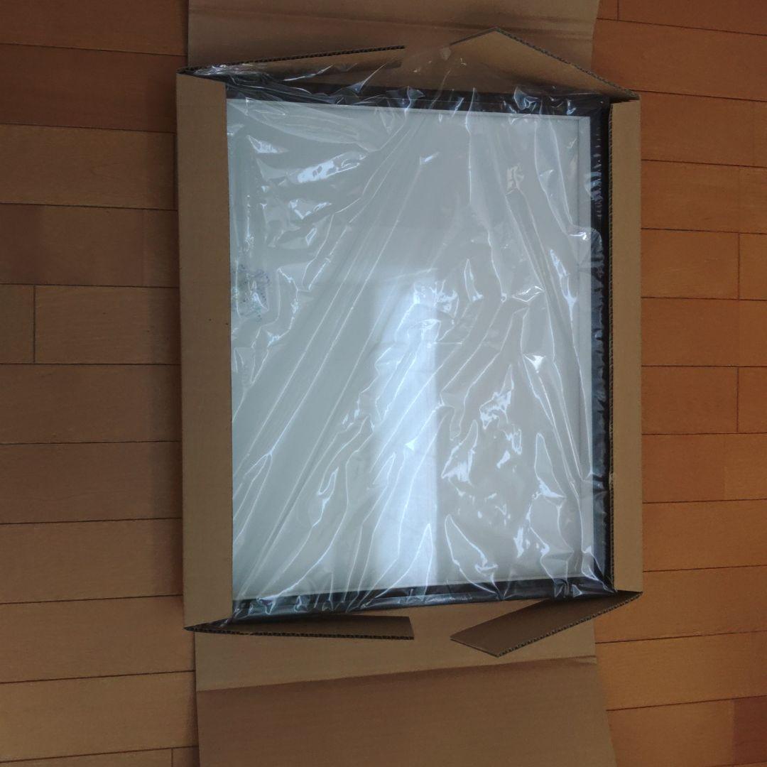 志賀昆虫ドイツ箱