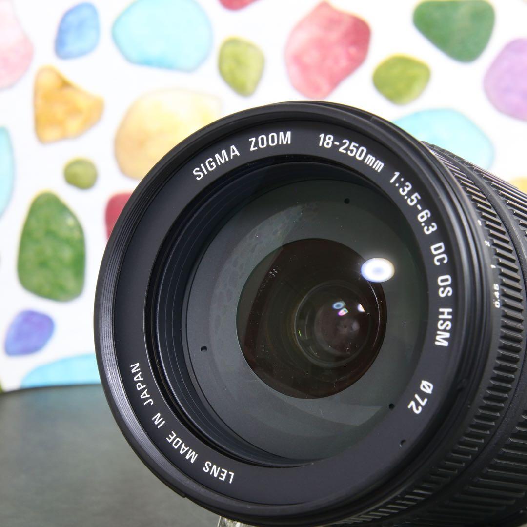 ♥︎◇近くから遠くまでこれ一本♪ SIGMA 18-250mm OS PENTAX