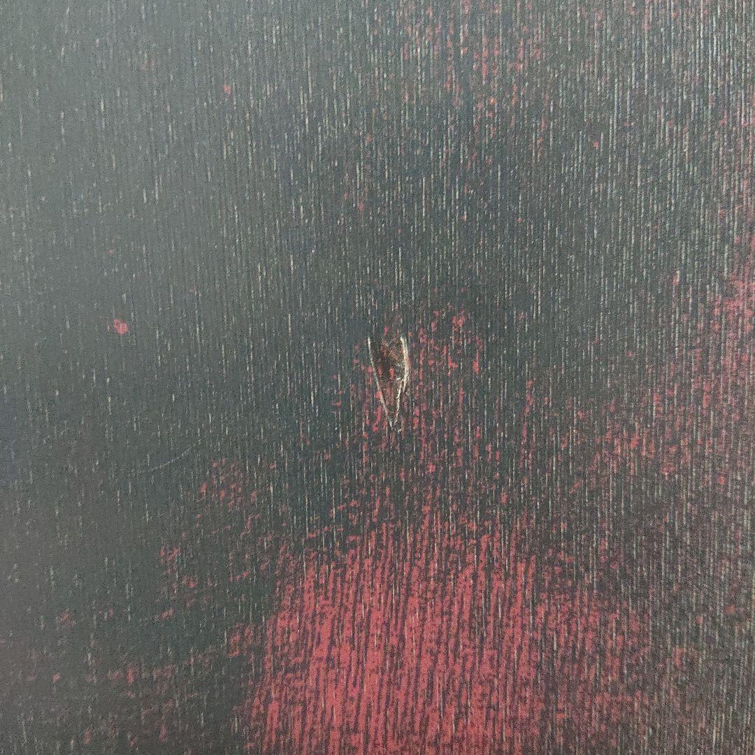 ライド アジェンダ 149cm スノーボード サロモン ビンディング M 付き