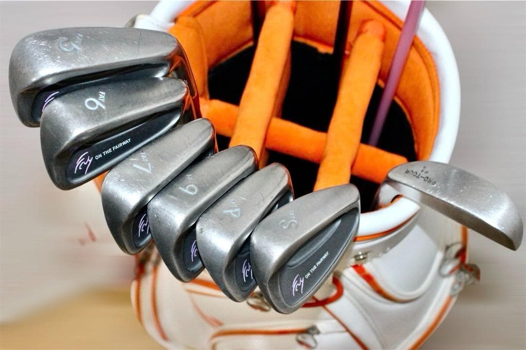 レディース用❗️SKYNET.ワールドイーグル.ミズノ等 ゴルフクラブ セット